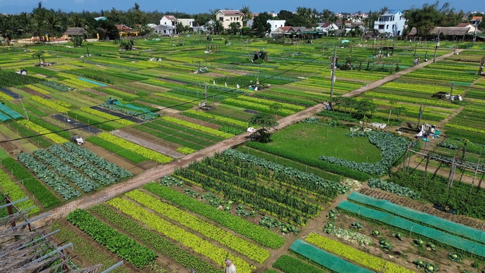 “Làng du lịch tốt nhất” thế giới có gì khiến du khách mê mẩn?- Ảnh 2. “Làng du lịch tốt nhất” thế giới có gì khiến du khách mê mẩn?- Ảnh 2.
