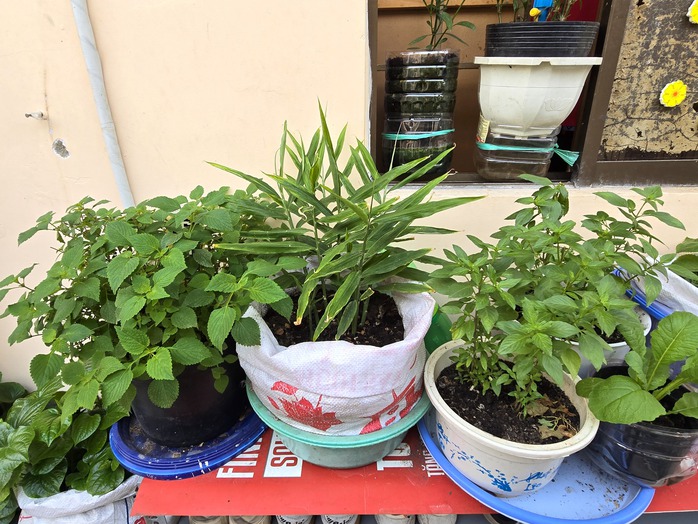 Hào Sỹ Phường đẹp cổ kính ngày Tết- Ảnh 18. tỷ lệ kèo góc nhà cái đẹp cổ kính ngày Tết- Ảnh 18.