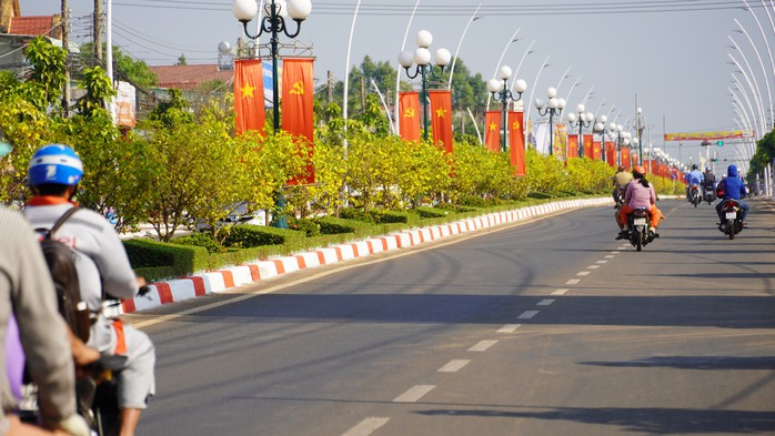 Cận cảnh đường mai dài 6,4 km vừa được cấp bằng kỷ lục Việt Nam- Ảnh 1. Cận cảnh đường mai dài 6,4 km vừa được cấp bằng kỷ lục Việt Nam- Ảnh 1.