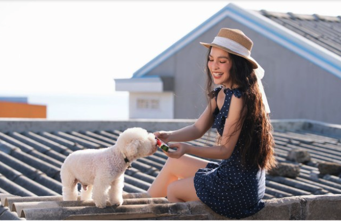 Hiền Thục giới thiệu cảnh đẹp Việt Nam trong ngày mùng 1 Tết- Ảnh 2. Hiền Thục giới thiệu cảnh đẹp Việt Nam trong ngày mùng 1 Tết- Ảnh 2.