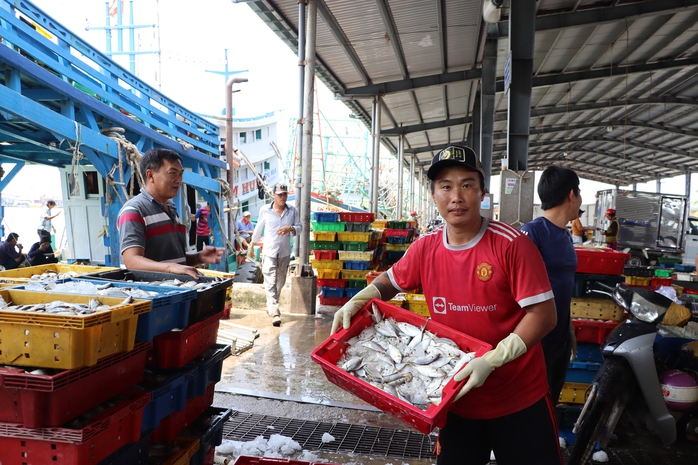 VIDEO: Ngư dân thị trấn biển lớn nhất ĐBSCL phấn khởi chuyến biển đầu năm- Ảnh 1. VIDEO: Ngư dân thị trấn biển lớn nhất ĐBSCL phấn khởi chuyến biển đầu năm- Ảnh 1.