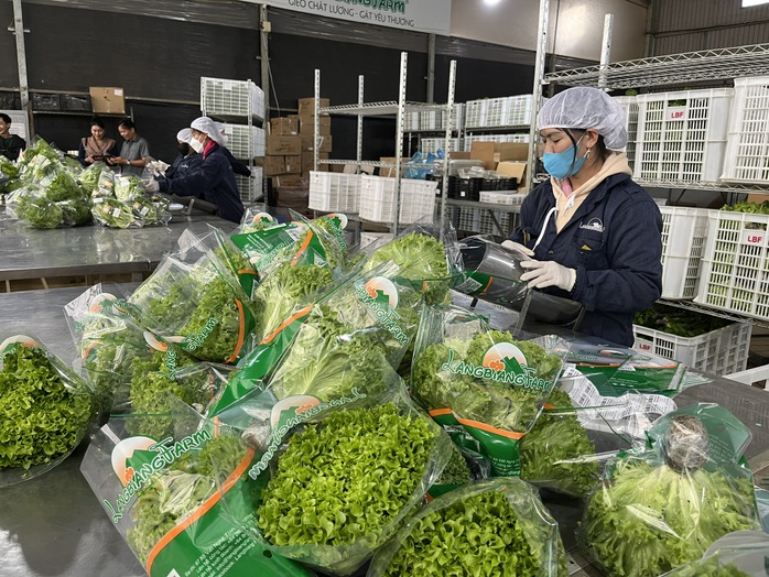 Thiết lập chuỗi cung ứng thực phẩm an toàn cho người dân TP HCM- Ảnh 3. Thiết lập chuỗi cung ứng thực phẩm an toàn cho người dân TP HCM- Ảnh 3.