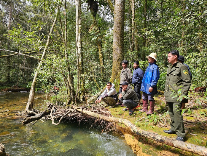 Những người ăn Tết vội vã, đón xuân giữa rừng già- Ảnh 3. Những người ăn Tết vội vã, đón xuân giữa rừng già- Ảnh 3.