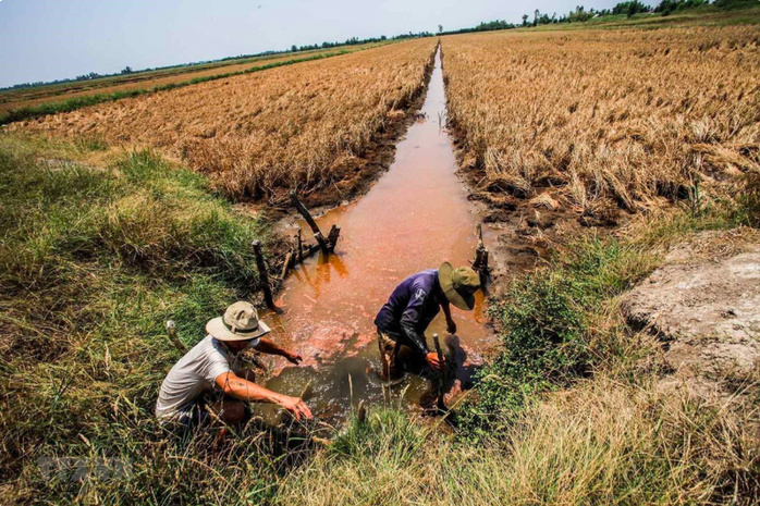 Diễn biến tình hình xâm nhập mặn ở Nam Bộ- Ảnh 1. Diễn biến tình hình xâm nhập mặn ở Nam Bộ- Ảnh 1.