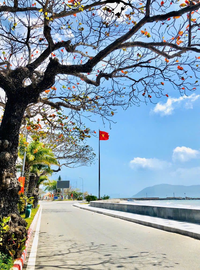 Bãi biển khiến bao người mê đắm ở Côn Đảo- Ảnh 4. Bãi biển khiến bao người mê đắm ở Côn Đảo- Ảnh 4.