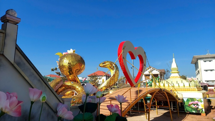 Chen chân để chụp ảnh cùng đôi linh vật rắn ở Lao Bảo- Ảnh 5. Chen chân để chụp ảnh cùng đôi linh vật rắn ở Lao Bảo- Ảnh 5.