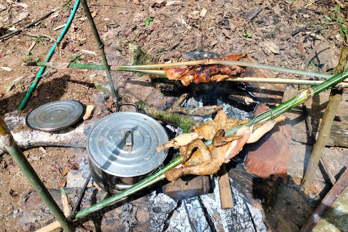 Rủ nhau lên rừng ăn Tết, canh giữ "bảo vật Quốc gia"- Ảnh 5. Rủ nhau lên rừng ăn Tết, canh giữ "bảo vật Quốc gia"- Ảnh 5.