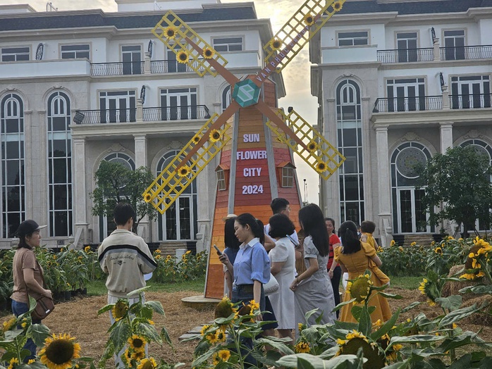 Người dân ùn ùn check-in tại vườn hoa hướng dương lớn nhất TP HCM- Ảnh 4. Người dân ùn ùn check-in tại vườn hoa hướng dương lớn nhất TP HCM- Ảnh 4.