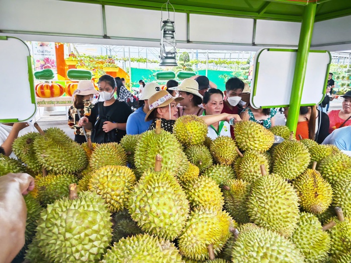 Sầu riêng chiếm gần 50% kim ngạch xuất khẩu toàn ngành rau quả- Ảnh 1. Sầu riêng chiếm gần 50% kim ngạch xuất khẩu toàn ngành rau quả- Ảnh 1.