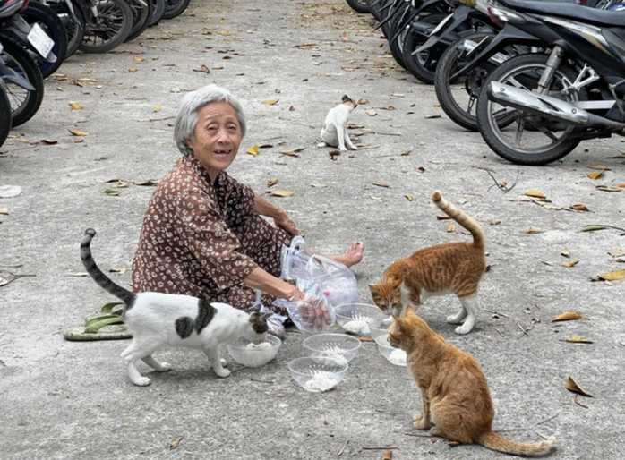 Tài khoản "Hanh Nha Meo" làm ảnh hưởng nghiêm trọng uy tín của Thảo Cầm Viên Sài Gòn- Ảnh 1. Tài khoản "Hanh Nha Meo" làm ảnh hưởng nghiêm trọng uy tín của Thảo Cầm Viên Sài Gòn- Ảnh 1.