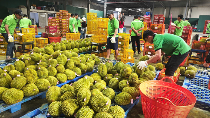 Xuất khẩu đón sóng thị trường tỉ dân - Ảnh 1.