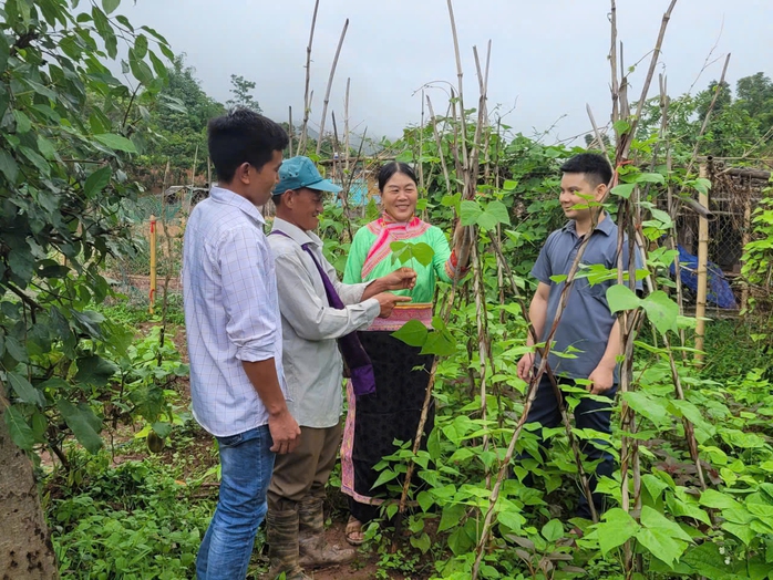 Bài dự thi Cuộc thi viết "Lòng tốt quanh tôi": Trưởng bản gieo "hạt giống no ấm" - Ảnh 1.