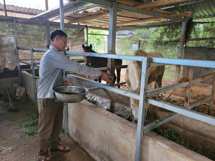 Bài dự thi Cuộc thi viết "Lòng tốt quanh tôi": Trưởng bản gieo "hạt giống no ấm" - Ảnh 3.