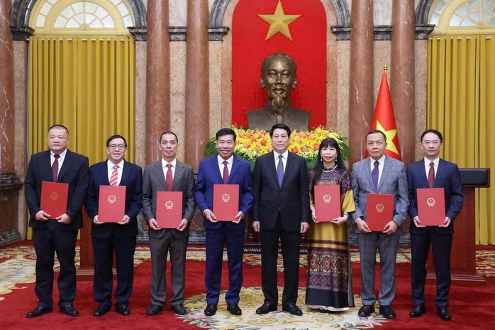 Chủ tịch nước bổ nhiệm đại sứ Việt Nam ở nước ngoài - Ảnh 1.