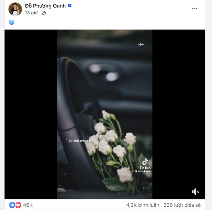 Động thái của Phương Oanh  - Ảnh 1.