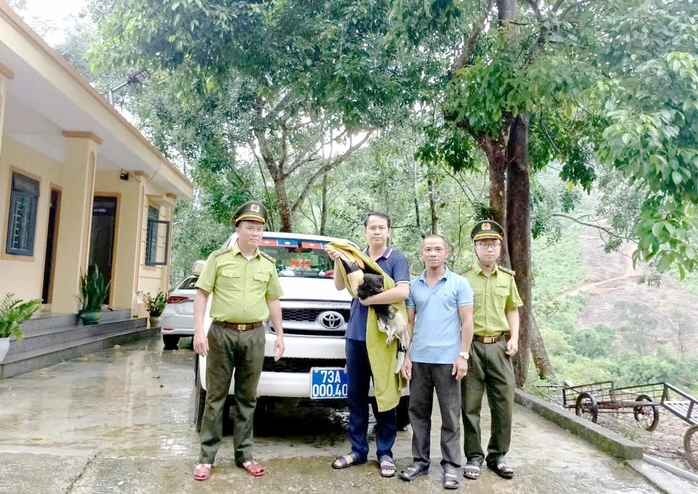 Chim Hồng hoàng qúy hiếm bất ngờ xuất hiện tại xã Trường Sơn , Quảng Trị - Ảnh 1.