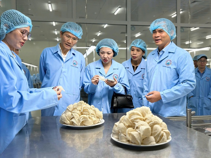 Bộ Nội vụ tham quan nhà máy chế biến yến sào Khánh Hòa - Ảnh 1.