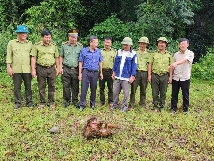 Tưởng trộm gà, ai ngờ “vị khách lạ” quý hiếm nặng 30kg - Ảnh 2. Tưởng trộm gà, ai ngờ “vị khách lạ” quý hiếm nặng 30kg - Ảnh 2.