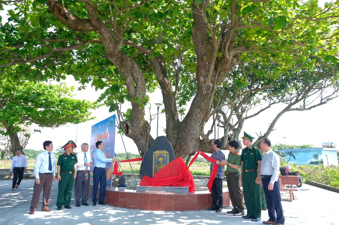 Gìn giữ quần thể cây di sản ở Cồn Cỏ - Ảnh 1.