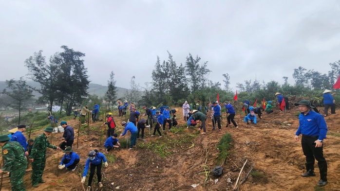 Phục hồi, phát triển rừng phi lao ven biển - Ảnh 2.