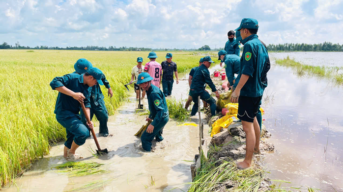 Đồng Tháp Mười ứng phó mưa lũ - Ảnh 1. Đồng Tháp Mười ứng phó mưa lũ - Ảnh 1.