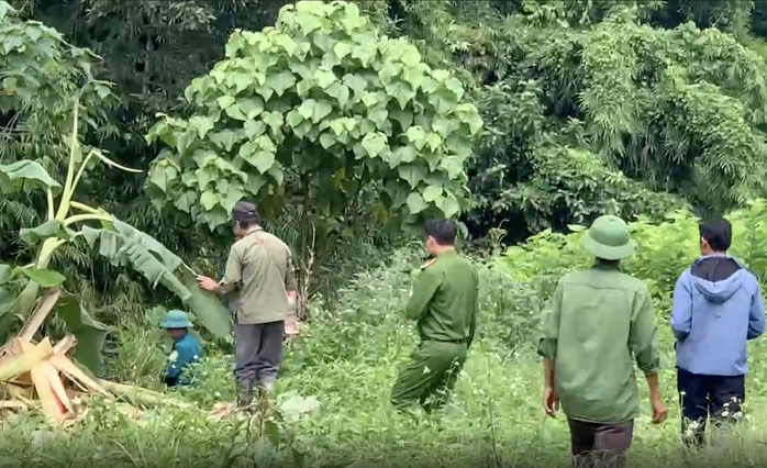 Người đàn ông chết ở bìa rừng rừng, cạnh dấu chân voi - Ảnh 1.