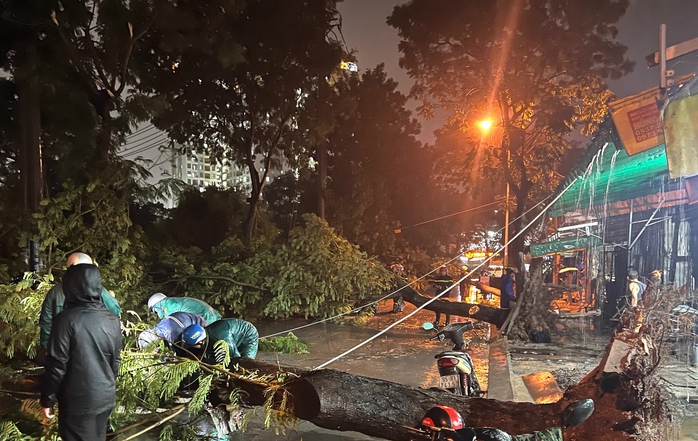 Hàng chục cây xanh bị đỗ ngã, 2 mẹ con bị thương vong chuyển viện trong đêm - Ảnh 1.