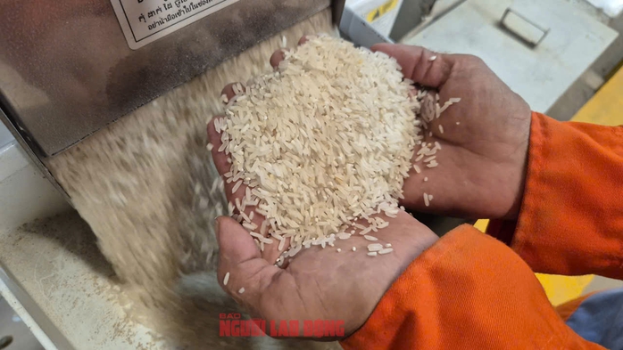 Việt Nam nhập gạo nhiều thứ 2 thế giới- Ảnh 2.