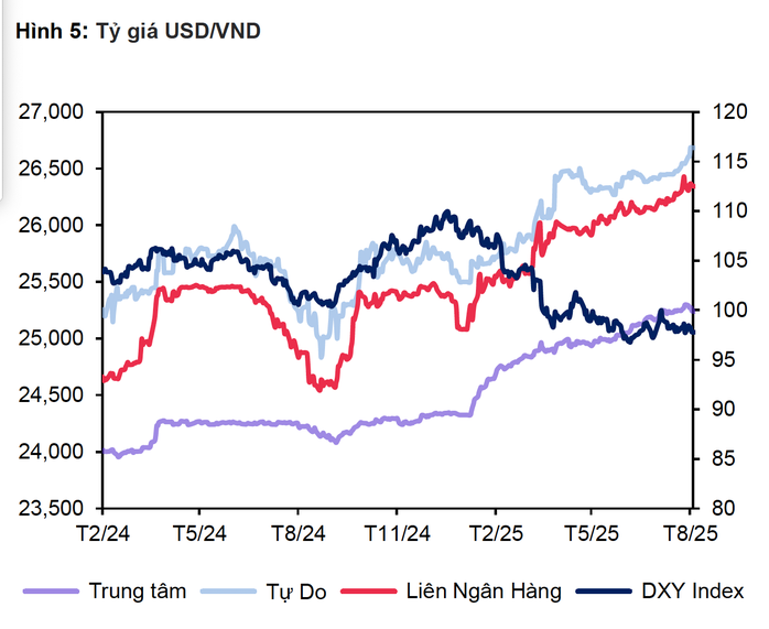 Giá USD tại ngân hàng giảm mạnh: Tình hình tỉ giá Việt Nam hiện nay - Ảnh 3.