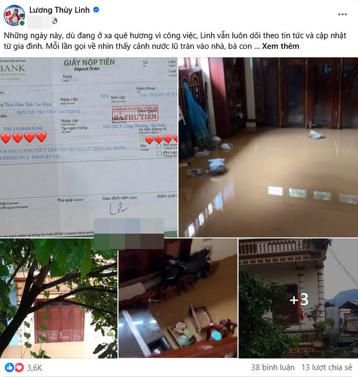 Nhà hoa hậu Lương Thùy Linh "chìm" trong biển nước   - Ảnh 3.