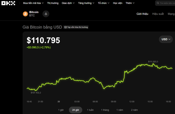 Thị trường tiền số hôm nay, 20-10: Bitcoin đã lấy lại được đà phục hồi? - Ảnh 1.