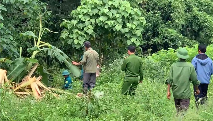 Người đàn ông tử vong nghi bị voi rừng tấn công tại Đắk Wil - Ảnh 1. Người đàn ông tử vong nghi bị voi rừng tấn công tại Đắk Wil - Ảnh 1.