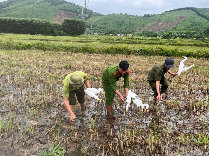 Thứ kỳ lạ giữa cánh đồng khiến ai cũng sững sờ ở Quảng Trị - Ảnh 1.