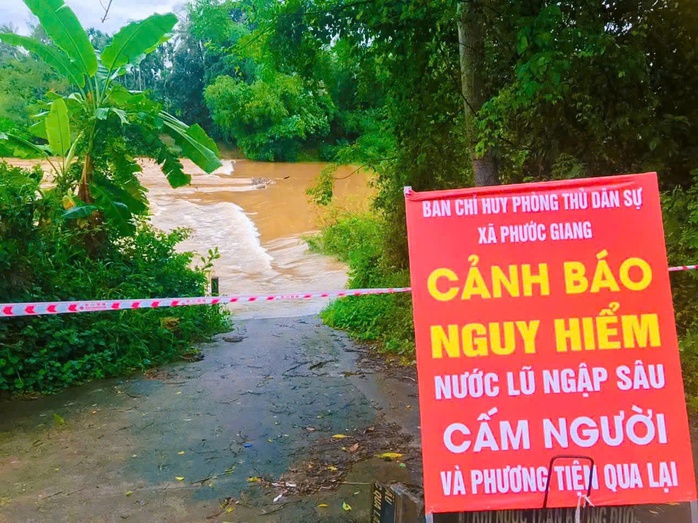 Quảng Ngãi bắn pháo hiệu khẩn cấp giữa đêm, kêu gọi tàu thuyền vào bờ tránh bão - Ảnh 3.