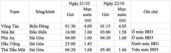 Cảnh báo triều cường gây ngập ở TP HCM - Ảnh 2.