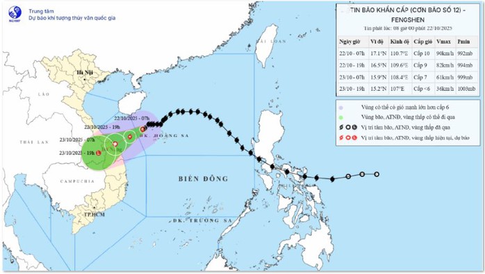 EVNCPC chủ động ứng phó bão số 12 (Fengshen) - Ảnh 3.