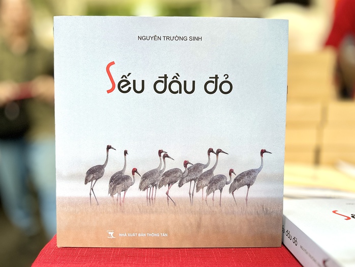 Hành trình 10 năm "mong đợi ngày sếu trở về" - Ảnh 1.