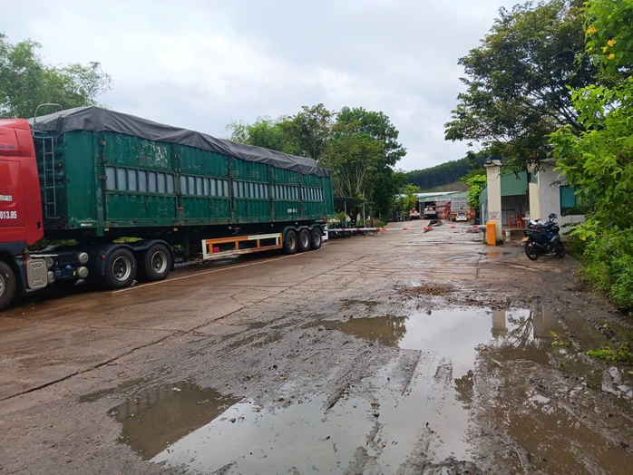 Dân phản ánh nhà máy gạch gây ô nhiễm, xã ở Đà Nẵng vào cuộc xử lý - Ảnh 1.