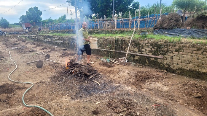 "Thủ phủ" đào, quất Hà Nội lo mất Tết - Ảnh 2. "Thủ phủ" đào, quất Hà Nội lo mất Tết - Ảnh 2.