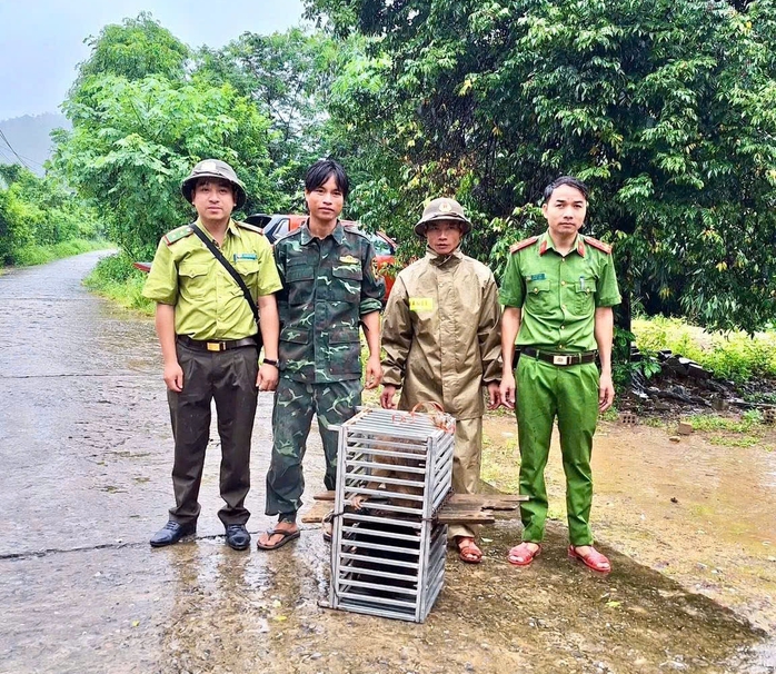 Bắt được con vật mặt đỏ như gấc, người dân trình báo chính quyền - Ảnh 3. Bắt được con vật mặt đỏ như gấc, người dân trình báo chính quyền - Ảnh 3.