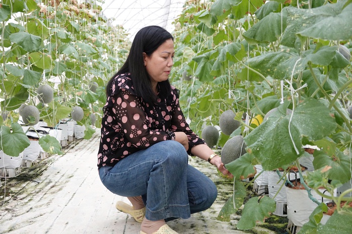 Truyền cảm hứng khởi nghiệp xanh - Ảnh 1. Truyền cảm hứng khởi nghiệp xanh - Ảnh 1.