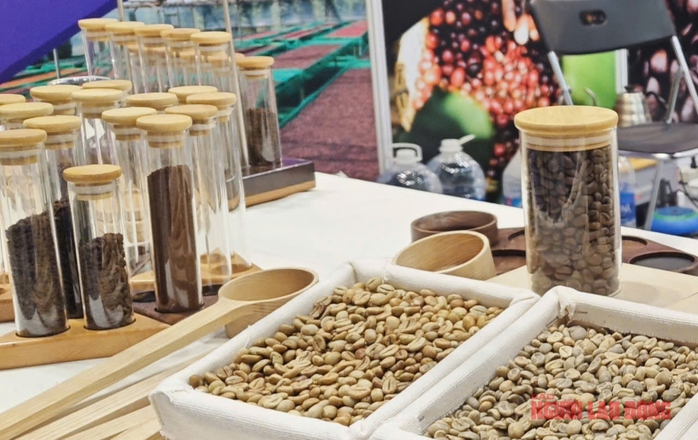 Giá cà phê hôm nay 29 - 10: Hồi phục , Việt Nam chi 560 triệu USD nhập khẩu cà phê - Ảnh 2. Giá cà phê hôm nay 29 - 10: Hồi phục , Việt Nam chi 560 triệu USD nhập khẩu cà phê - Ảnh 2.