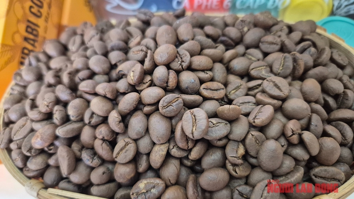 Giá cà phê hôm nay 30 - 10 tăng mạnh , nông dân đua nhau trồng cà phê - Ảnh 2.