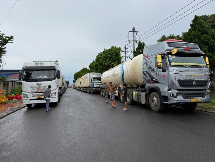 Chuyện gì đang xảy ra với việc kiểm nghiệm sầu riêng? - Ảnh 1.