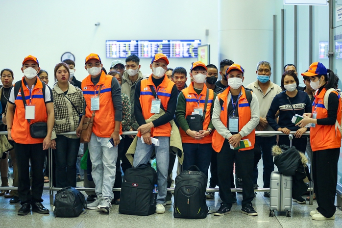 Những thị trường nào đang "hút" lao động Việt Nam đến làm việc? - Ảnh 2.