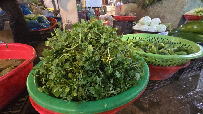 Giá nông thủy sản miền Tây: Rau xanh tăng giá vùn vụt  - Ảnh 4. Giá nông thủy sản miền Tây: Rau xanh tăng giá vùn vụt  - Ảnh 4.