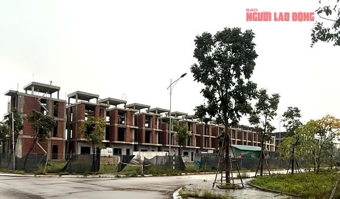 Chấn chỉnh sai phạm tại dự án khu nhà ở của Tập đoàn Sơn Hải - Ảnh 1.