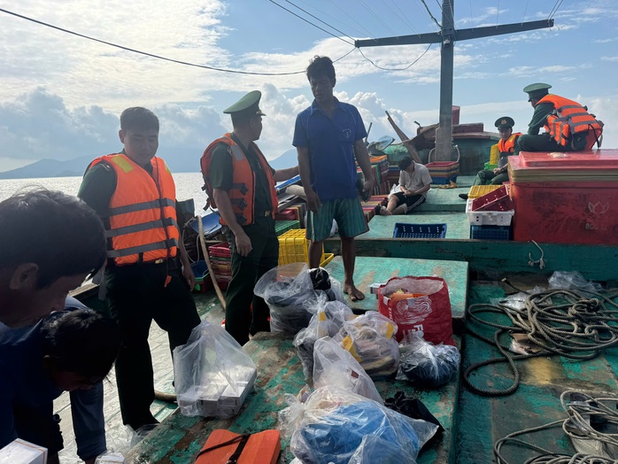 8 thuyền viên nhảy xuống biển khi tàu cá va chạm với tàu hàng - Ảnh 1.