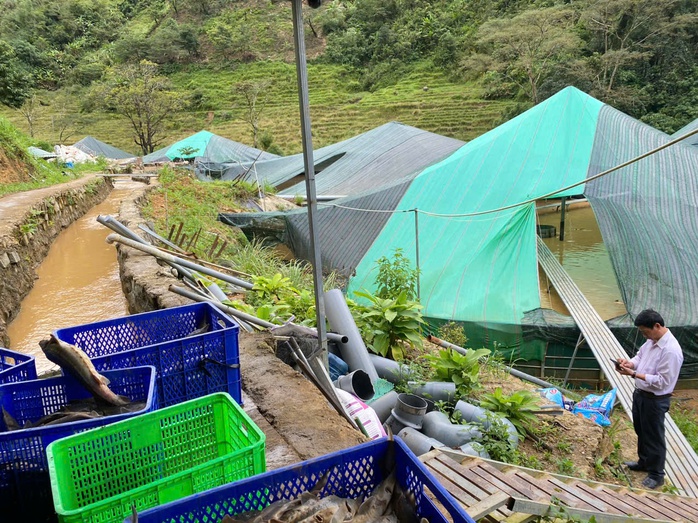 Sạt lở núi làm chết gần 70 tấn cá tầm, thiệt hại hơn 8 tỉ đồng - Ảnh 1.