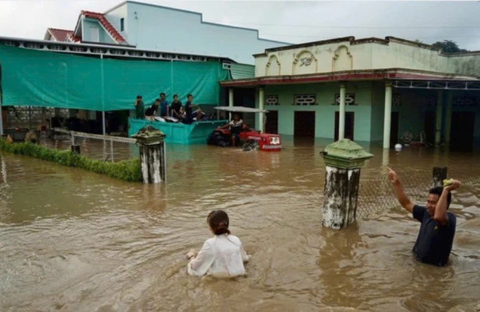 - Ảnh 1.  - Ảnh 1.